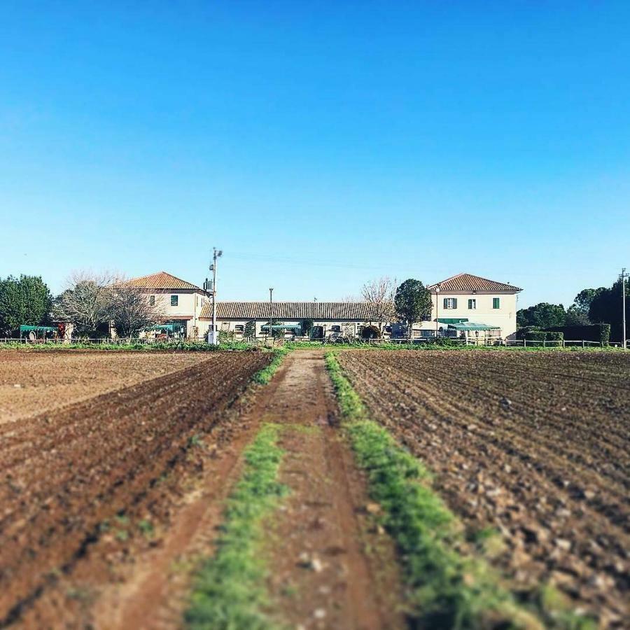 Casale Appio Ξενοδοχείο Ρώμη Εξωτερικό φωτογραφία